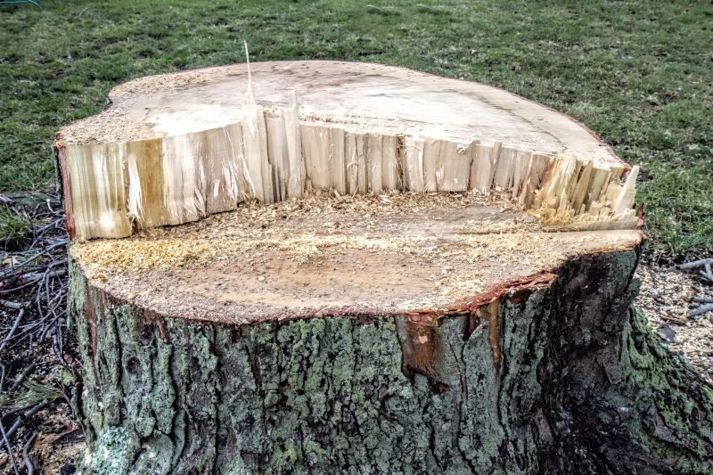 Dead Tree Removal in Montgomery County, PA