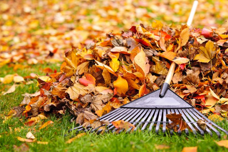 Leaf Raking Techniques