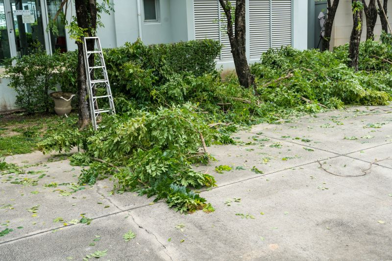 Leaf Removal Benefits