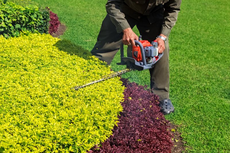 Shrub Trimming in Aiken, SC