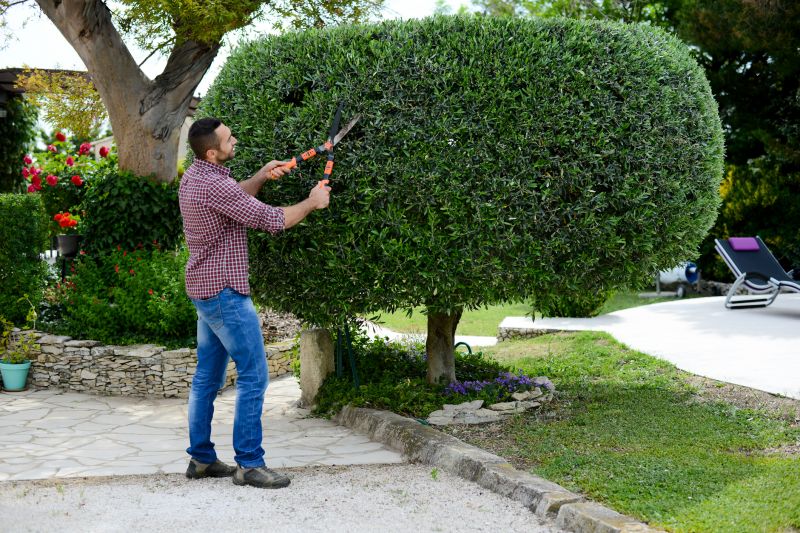 Topiary Shaping in Ventura County, CA